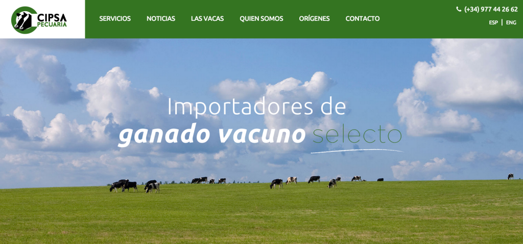 New website!