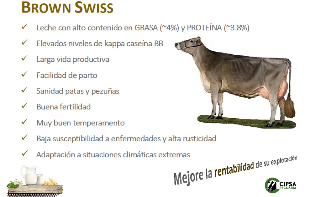 CIPSA le presenta la nueva SOLUCIÓN ANTICRISIS